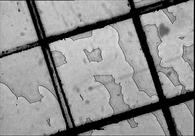 23: Lichtmikroskopische Aufnahmen einer beschichteten Probe nach dem Klebebandtest am Gitterschnitt (links langsamer Abzug, rechts ruckartiger Abzug), die Einstufung dieser Probe war GKW(1/4);