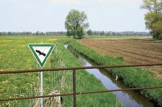 5.4 Fließgewässertypus der Niederungsgebiete Alle Niederungsgebiete in Nordrhein-Westfalen sind heute mehr oder weniger stark entwässert.