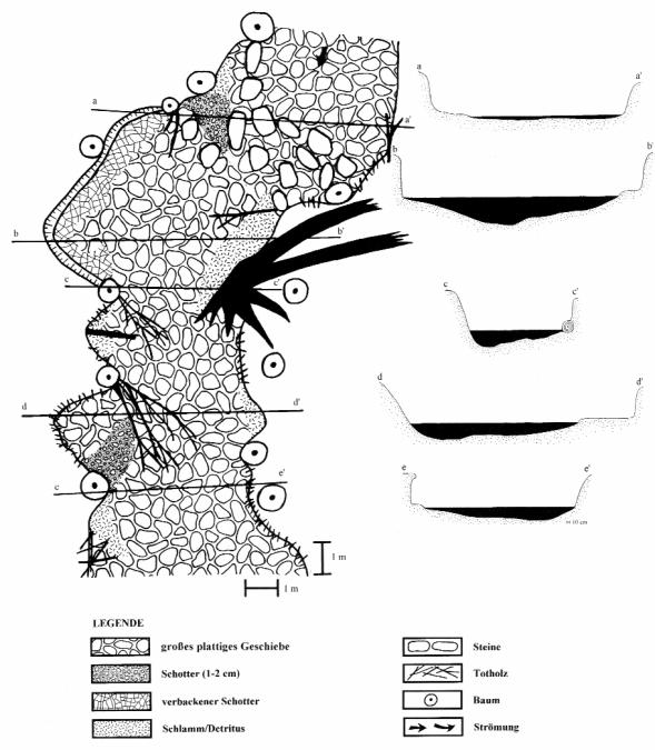 Abb. 40: Beispiel für die Verteilung der Substrate auf der Bachsohle und die Querprofilausbildung eines Großen Talauebaches im Grundgebirge.