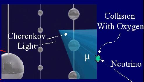 Abbildung 9: Detektion der durch Neutrinos entstehenden Myonen durch