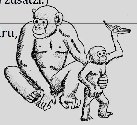 Als sie sieht, dass Jola ihm 3 Bananen davon abgibt, gibt sie ihr noch 3 Bananen dazu. A. Wie viele Bananen hat die Schimpansin Jola? B. Wie viele Bananen hat der Schimpansenjunge Badru?