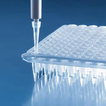 PCR-Platten q! PCR 96-well PCR-Platten Das besonders dünnwandige Design der PCR-Platten ermöglicht einen gleichmäßigen, schnellen und präzisen Wärmetransfer.