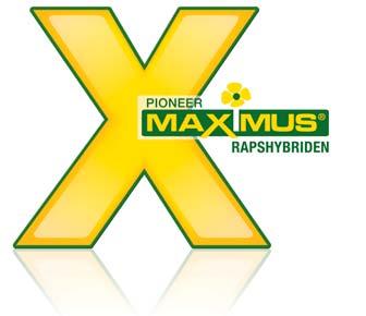 Sortiment MAXIMUS RAPSHYBRIDEN Neuer MAXIMUS Typ mit längerem Wuchs ist eine sehr leistungsstarke MAXIMUS Halbzwerghybride, die im EU-Versuch 2015 eine sehr hohe Marktleistung (103 rel.