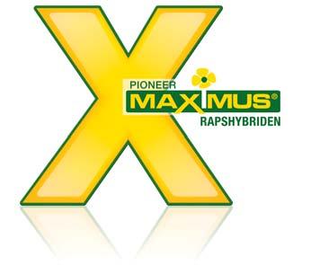 Sortiment MAXIMUS RAPSHYBRIDEN Neue MAXIMUS Halbzwerghybride mit verbessertem Ölgehalt Die neue Halbzwerghybride PX126 zeichnet sich durch ihren sehr hohen Ölgehalt und hohen Kornertrag aus.