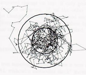 MCMCMC Metropolis-coupled Markov chain Monte Carlo burn-in 95%- Zone cold chain sammelt hot chains als scouts, um die Gipfel in der Baumlandschaft zu lokalisieren!