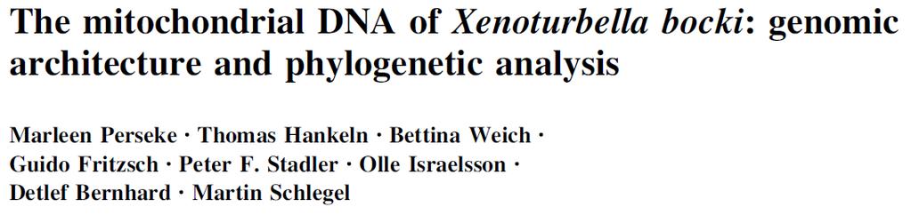 Phylogenie von Xenoturbella Perseke et al.