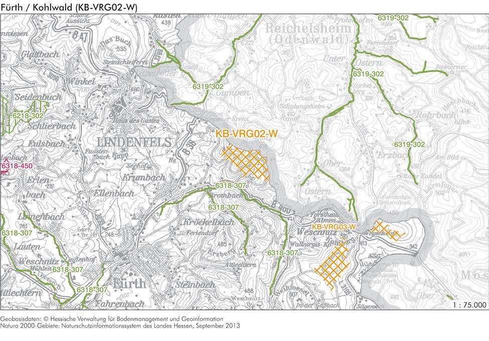 NATURA 2000-BETROFFENHEIT Betroffenes Natura 2000-Gebiet Schutz- und Erhaltungsziele Einschätzung der Auswirkungen FFH-Gebiet 6318-307 Oberlauf der Weschnitz und Nebenbäche Das Vorranggebiet