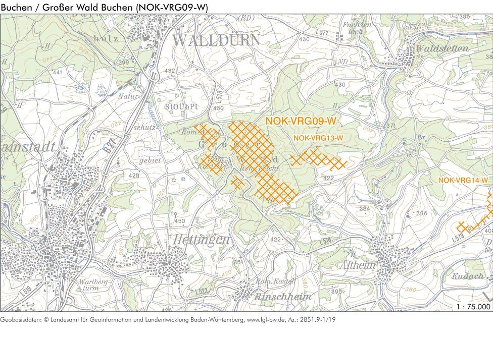 INFORMATIONEN ZUR FLÄCHE Name Großer Wald Buchen Gebietsnummer NOK-VRG09-W Stadt-/Landkreis bzw.