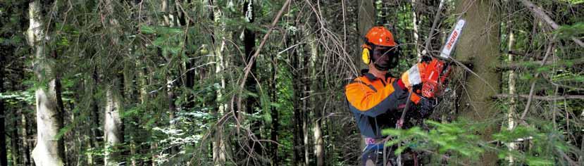 Baumpflegesägen für den Profi Profis der Baumchirurgie wissen, wie schwer es ist, geschädigte oder kranke Stellen an Bäumen zu erreichen und fachgerecht mit der Motorsäge zu bearbeiten.