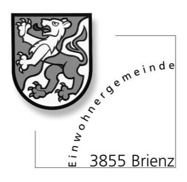 8. Einwohnergemeinde Brienz Verordnung über die Abwasserentsorgung Brienz vom. Februar 0 Einsehbar unter www.brienz.