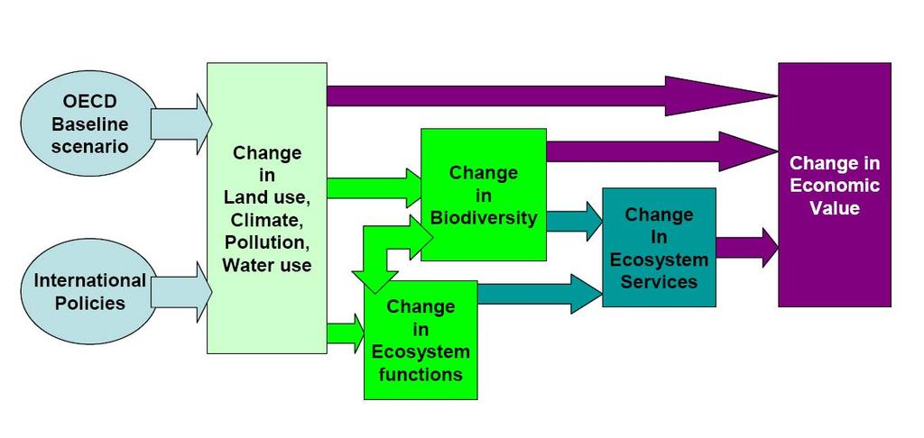 2. Bedeutung der Biodiversität für die Produktion von Ökosystemleistungen Existenz- und Vermächtniswerte!