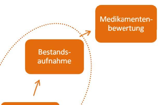 Medikamentenbewertung Leitfragen des Medication Appropriateness Index (MAI)