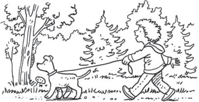 Schreibe die Sätze ab. Benutze die Rückseite. Das Kind geht mit dem Hund in den Wald. Der Wind bläst über das Land. Der Zwerg lebt im Berg.