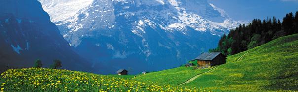 3 Landwirtschaft Die Landwirtschaft mit den verschiedenen Bergschaften ist das Rückgrat des Grindelwalder Tourismusmodells und wird auch in Zukunft durch die Gemeinde gestärkt.