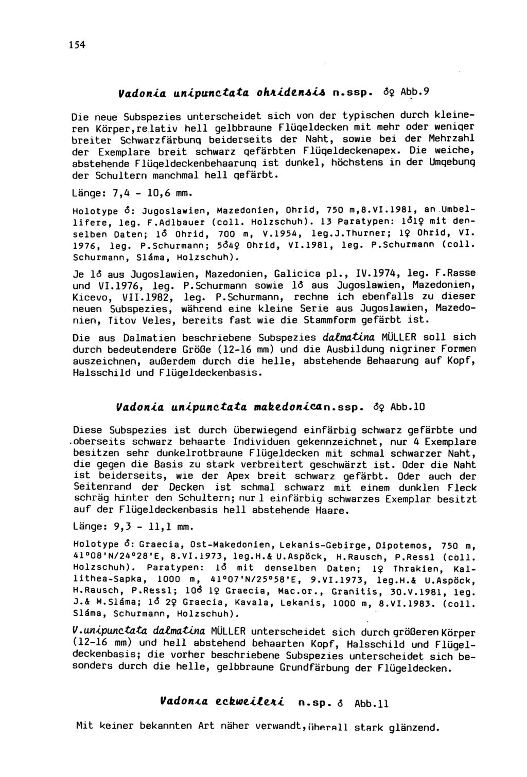 154 Wiener Coleopterologenverein (WCV), download unter www.biologiezentrum.at Vado nia ani.punc.tata ohkidtnòia n.ssp. 6$ Abb.