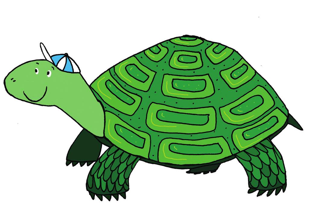 Die Schildkröte mag sonnige Plätze besonders gern und ruht sich oft dort aus. Sie hat einen Panzer, in den sie sich, wenn ihr alles zu viel wird, zurückziehen kann.