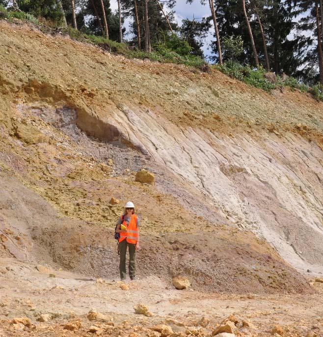 Geologisch-geotechnische Untersuchungen zur Nutzung der Schutzfelsschichten im Steinbruch Saal Welche Gesteine treten im Steinbruch in der