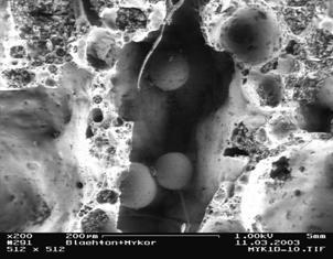 Blähton-Granulat mit Sporen und