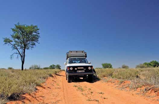 Reisen Unterwegs in Botswana Ab in die Wildnis!