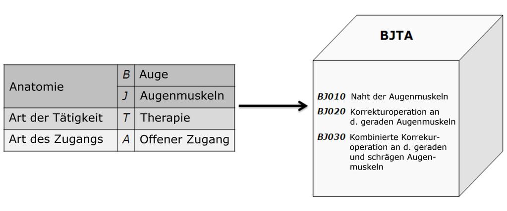 Abbildung 1: Codiersystem des Österreichischen Leistungskatalog mit multiaxialem Tripel (BJTA) (nach [12]) 3.