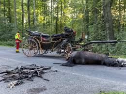 Ein Pferd ist und bleibt ein Fluchttier und kann, aus welchem Grund auch immer, scheuen und nicht nur den Kutscher oder Reiter, sondern auch den Autofahrer in Gefahr bringen.