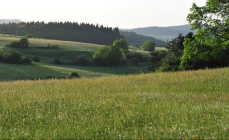 Der Landschaftspflegevertrag muss naturschutzfachlich be