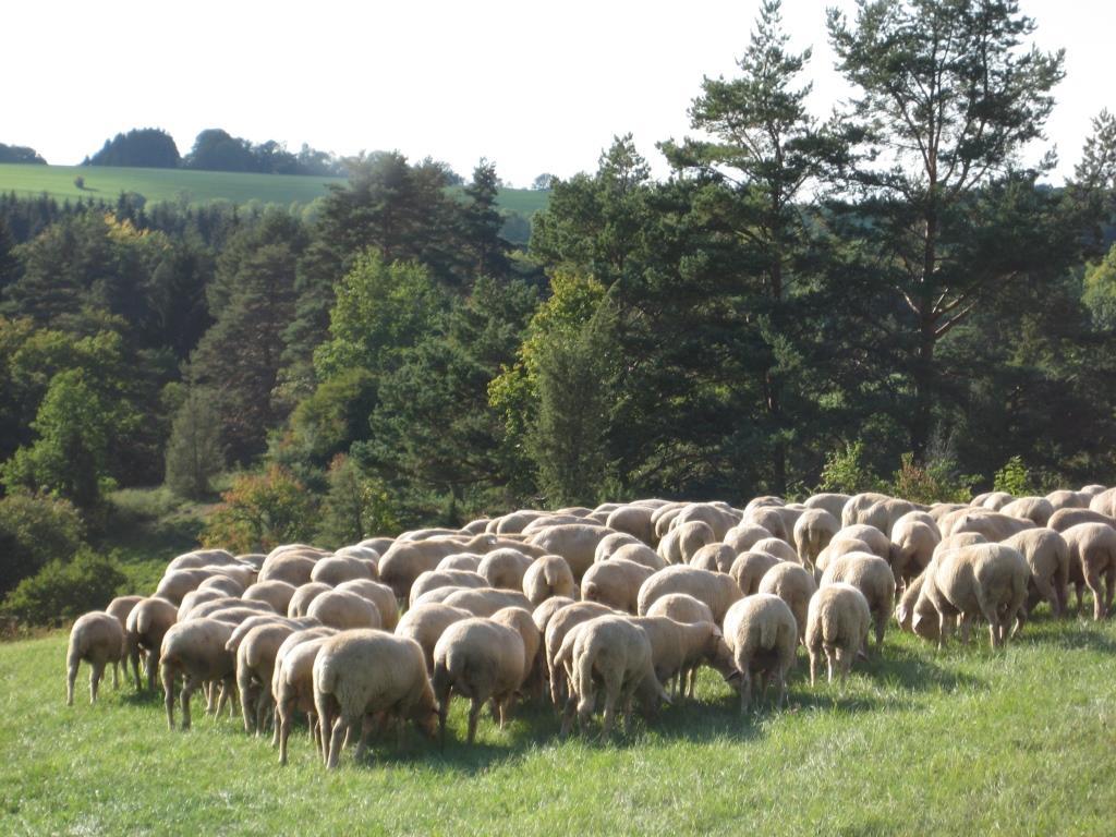 Wer Interesse an einem Landschaftspflegevertrag