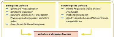 Integration: Biopsychosozialer Ansatz Diese integrierte Sichtweise umfasst verschiedene Analyseniveaus und