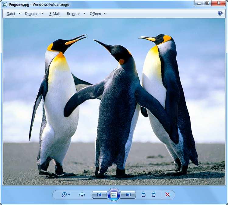 Basic Computer Skills Windows 7 Windows Kapitel 10 Lektion 2 Bilder Bilder Bilder importieren Sie speichern Ihre Bilder am Rechner, bearbeiten Sie hier und möchten eine Vorschau sehen?