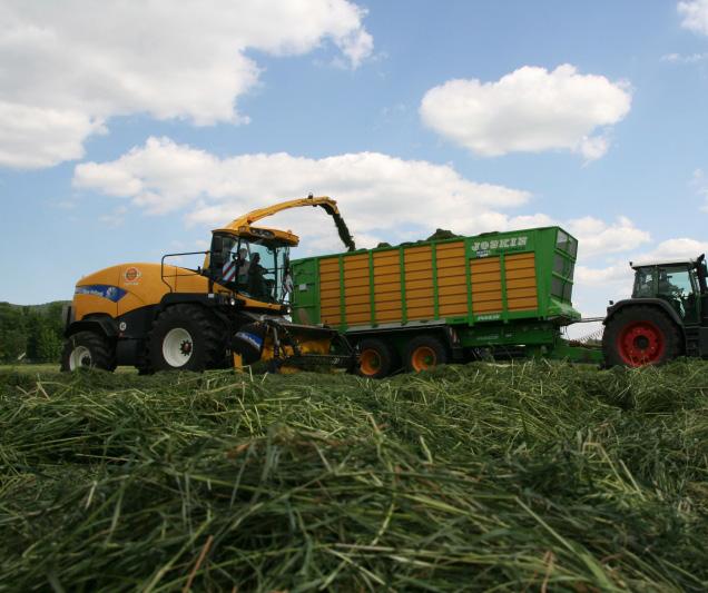 Qualitätssilage herstellen Maßnahmen zur Verbesserung des Gärprozesses bei Grassilagen Ziel: aromatische, stabile, hygienisch einwandfreie Silage Optimale Voraussetzungen für guten Gärverlauf: