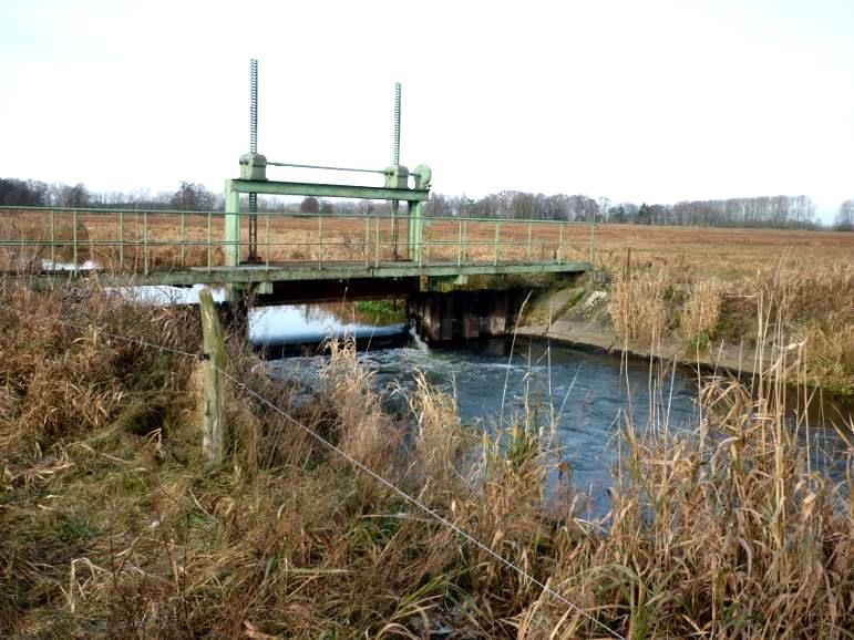 Ursachen geringe Durchflussmengen in einem großen Profil geringe Sauerstoffgehalte im Sommer schlammige Sohle (im Schnitt 1m Schlammablagerung) durch zu geringe Fließgeschwindigkeiten bei fehlenden