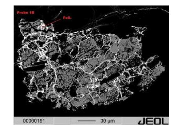 Abbildung 8: BSE-Bild von mit Pyrit gefüllten Adern im Apatit ( P r o b e 1 B ). Abbildung 9: BSE-Bild von Zirkon mit Baddeleyit- und Uraniumoxid - relikten (Probe 1B).