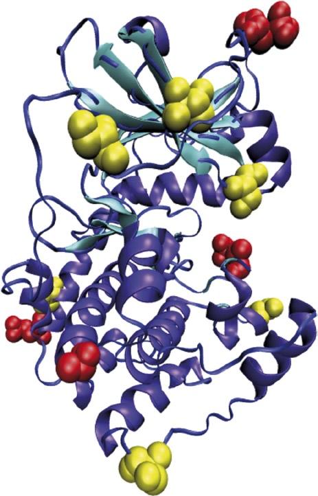 Verwendung von drei Proteasen, (ii) Berücksichtigung der Interaktion zwischen Phosphorylierung und Proteolyse sowie (iii) Zusatz von Citrat zur Verbesserung der