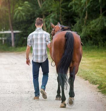 Diese beschäftigt sich dabei nicht nur mit der Prophylaxe von Verhaltensproblemen durch pferdegerechte Haltungssysteme, sondern auch mit der Diagnose und Behandlung von bereits entstandenen