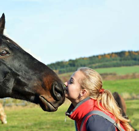 Eine optimale Gestaltung der unmittelbaren Lebensbedingungen eines Pferdes bezüglich Tagesablauf, sozialer Kontakte und Interaktionen mit der Umwelt ist die beste Prophylaxe für Verhaltensprobleme
