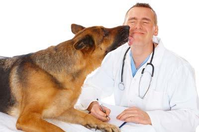 In der Weiterbildung Hundeverhaltenstherapie Grundlagen der Verhaltensmedizin & Psychosomatik erfahren Sie es.