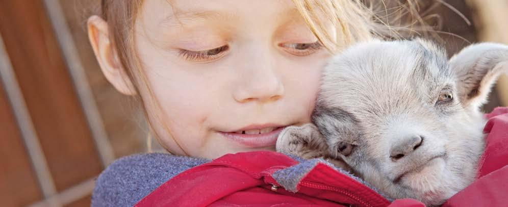 Familien, die Tiere zur Förderung von Kindern mit besonderen Bedürfnissen oder pflegebedürftiger Angehöriger einsetzen wollen Menschen, die anderen Menschen Begegnungen mit Tieren ermöglichen