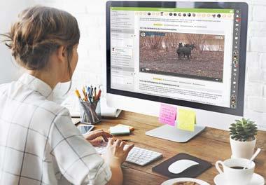 E-Learning Tiere als