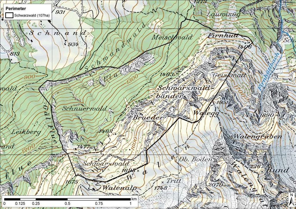 Perimeteränderung im Jagdbanngebiet Huetstock 11 4.2 Schwarzwald Abb.