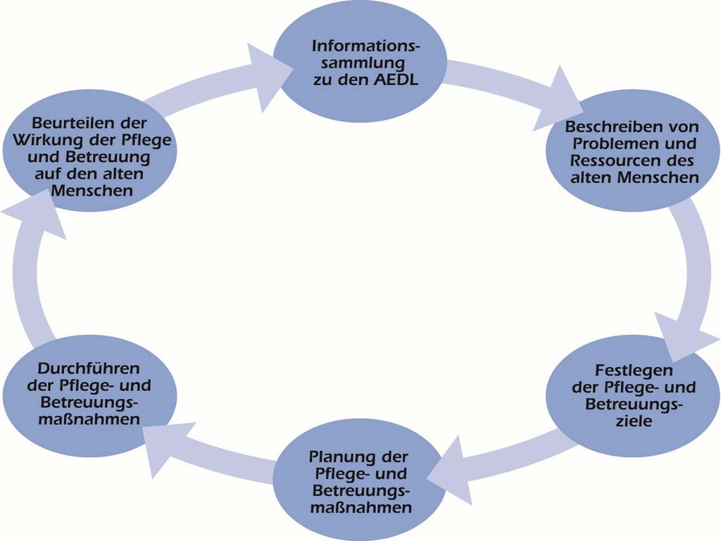 Vier Elemente des Strukturmodells 1. Einstieg in den Pflegeprozess mit SIS 4. Evaluation mit Fokus a.d. Erkenntnissen d.