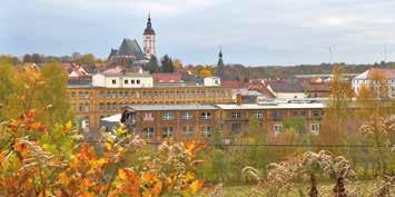 Liebe Bürgerinnen, liebe Bürger der Stadt Penig, vereinzelt hat der Oktober schon versucht, seinem Ruf und der Sehnsucht nach dem Goldenen Herbst gerecht zu werden.