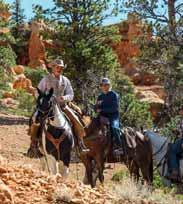 Ab/bis Page Dauer: 6 Stunden PGA 4055 EXC055 Bryce Canyon Horse Trail Rides Entdecken Sie die verborgenen Geheimnisse des spektakulären Red Canyons auf dem Rücken eines Pferdes.