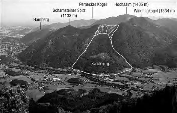 Abb. 2. Blick vom Zwillingskogel nach NE zur Hochsalmgruppe. Im Vordergrund das Almtal, im Hintergrund die Erhebungen der Rhenodanubischen Flyschzone (Hamberg, Pernecker Kogel).