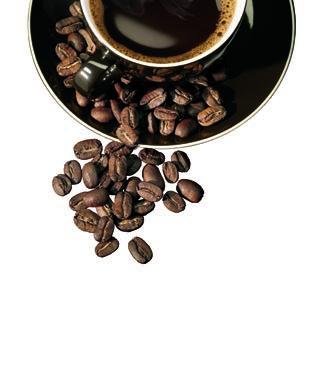 50 Frühstück Kaffeemaschinen * * Frühstück Kaffeemaschinen 51 Kaffeemaschinen Modelle 2017 2017 ausgezeichnet für: High Quality Design Bedienkomfort Kaffeemaschinen Modelle Neu Sommelier