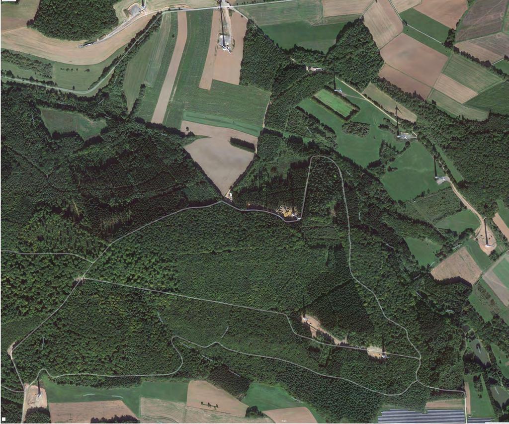 WEA Keltische Hügelgräber: Bei archäologisch wertvollen Fundstellen arbeiten wir eng mit der Hessen-Archäologie zusammen. Altbaumbestand: Zu erkennen an der brokkoliartigen Baumstruktur.