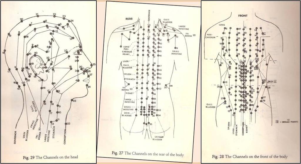 Moderne Darstellung einiger Nadis / Meridiane und Marmas / Akupunkturpunkte Wie und wo sind die Akupunktur- und Meridianbehandlungen entstanden?