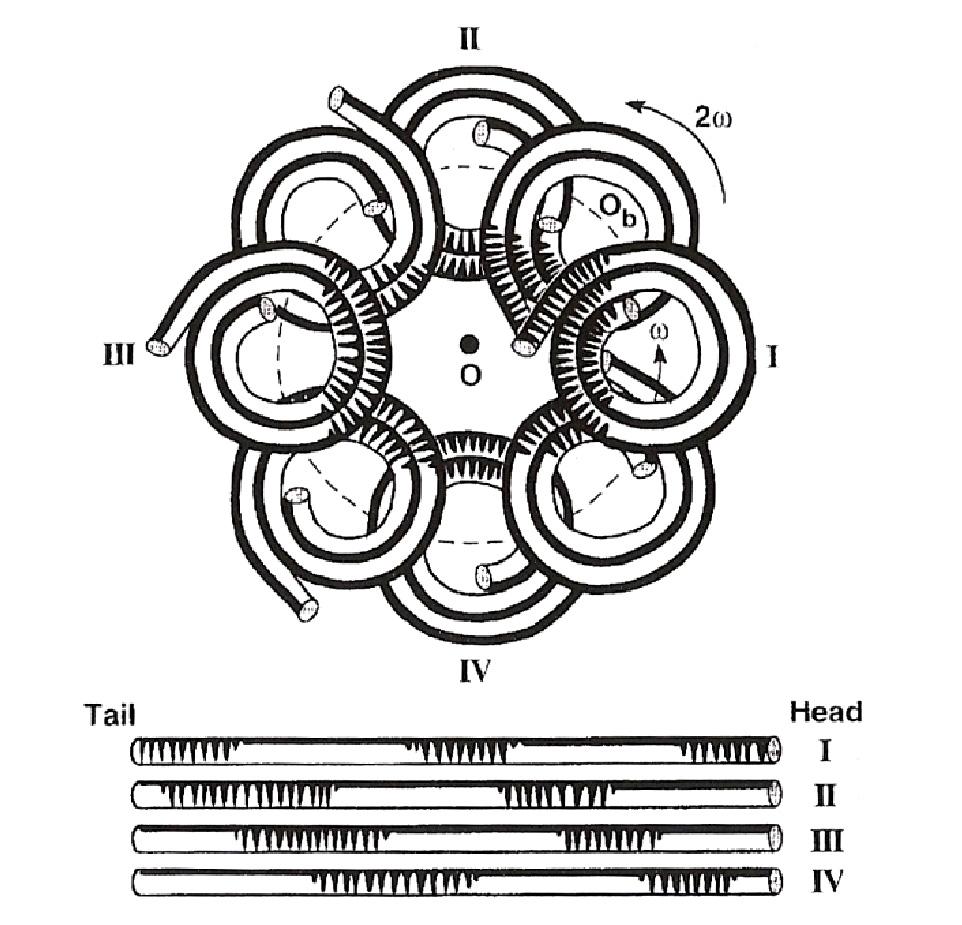 Bei Triple Coil Anlagen sind drei Coils, die aus spiralförmig um eine Achse gewickelten Teflonschläuchen bestehen, in Reihe geschaltet.