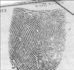 Biometrische Authentisierung mit Fingerabdruckerkennung Anlehnend an die oben gegebenen Definitionen können Fingerabdruckkategorien folgender Maßen beschrieben werden (nach
