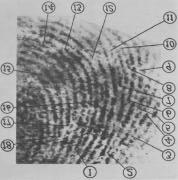 Biometrische Authentisierung mit Fingerabdruckerkennung Die verallgemeinerte Definition für die Übereinstimmung zweier Fingerabdrücke besteht aus vier Kriterien und lautet: (a) eine Übereinstimmung