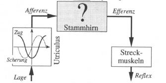 Alternatives Experiment 42 Der Zusammenhang im